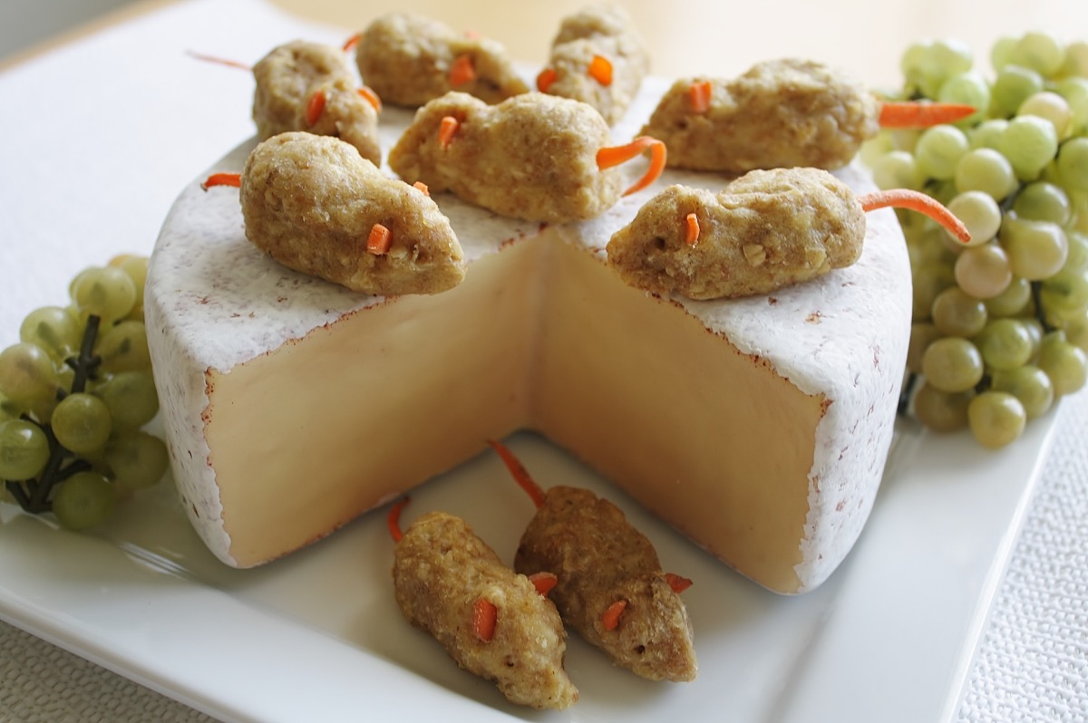 Homemade chicken cat best sale treats